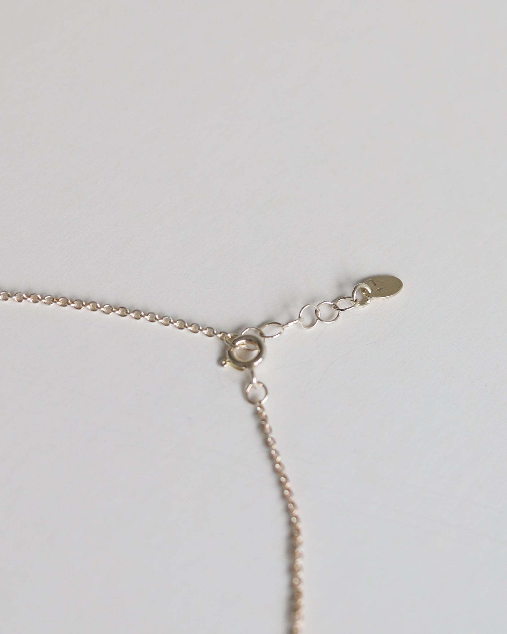 Necklace in 925 Silver & Ruby - 04503RRS