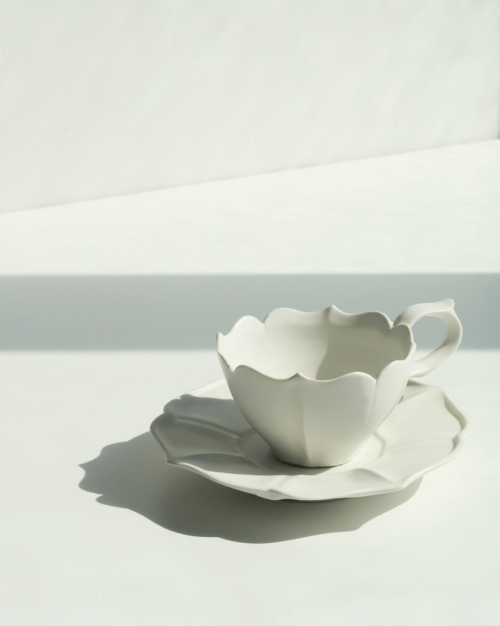 Ryoka Teacup & Saucer - Y302