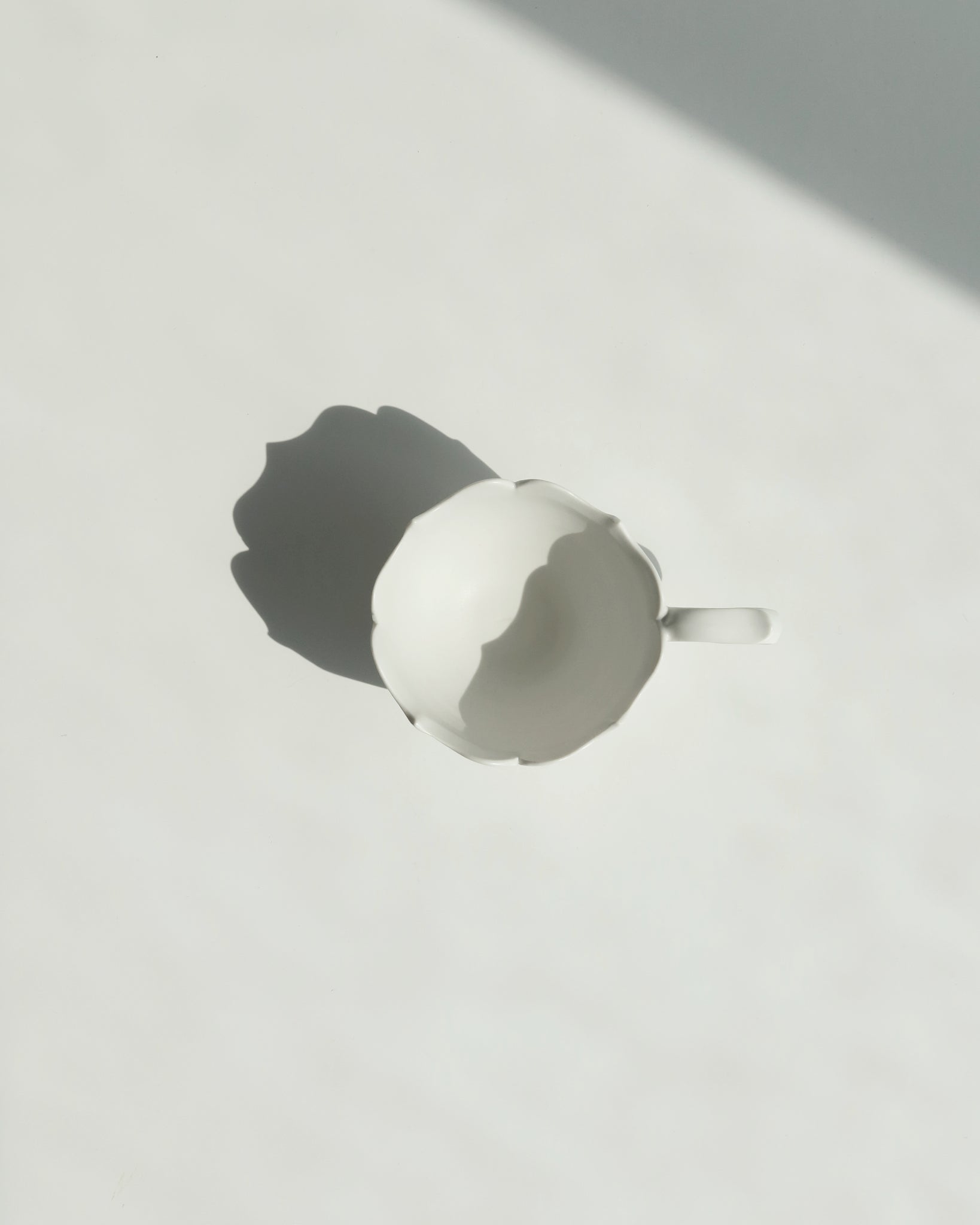 Ryoka Teacup & Saucer - Y302