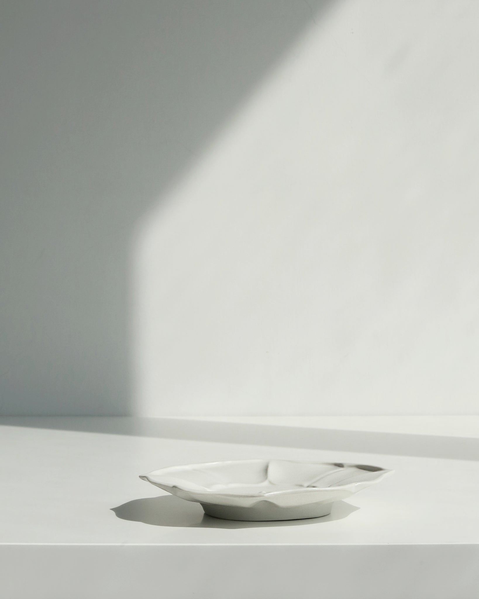 Ryoka Teacup & Saucer - Y302